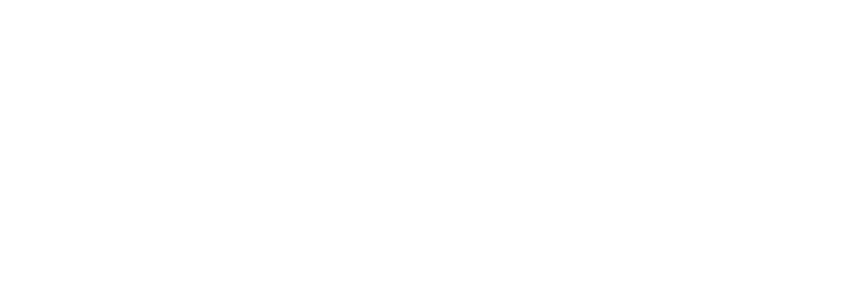 SPOTIGURUS-LOGO